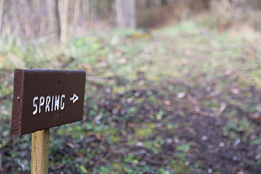 A cabin waits for you along the Appalachian Trail